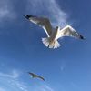 myfinds28